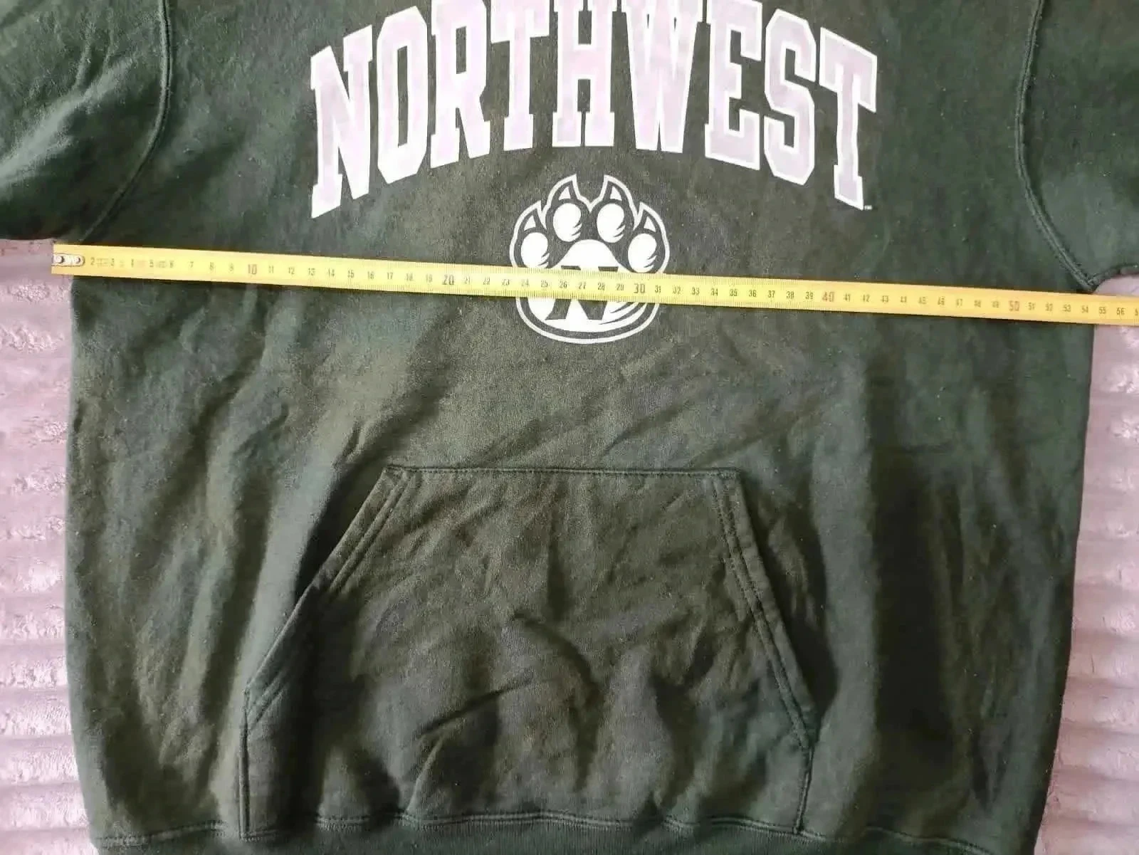 Hoodie Champion Northwest groen Maat M – photo 6